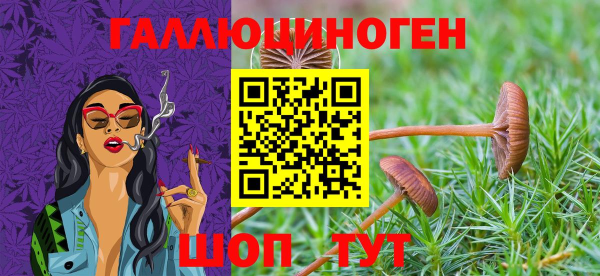 Псилоцибиновые грибы GOLDEN TEACHER Донской