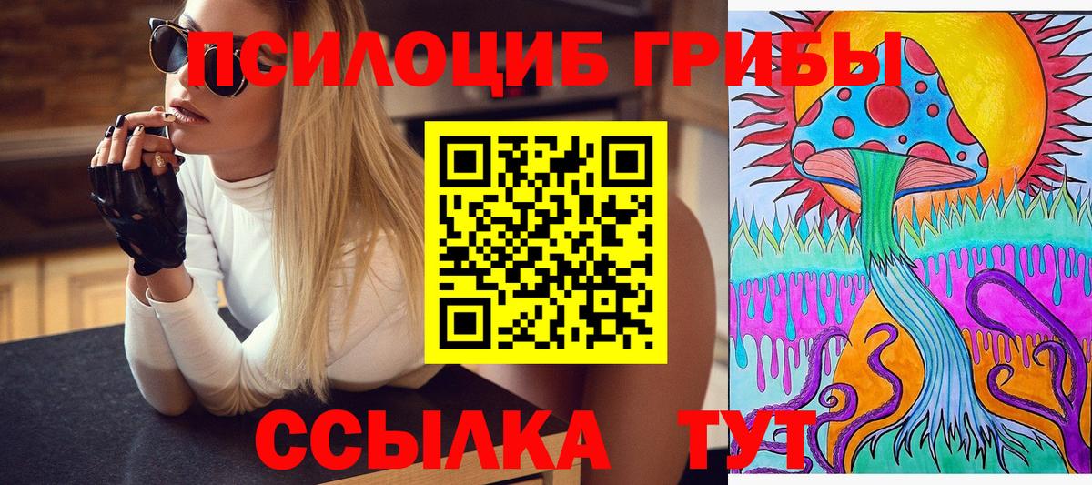 Псилоцибиновые грибы GOLDEN TEACHER  Вход с VPN  Псилоцибиновые грибы GOLDEN TEACHER  Донской 